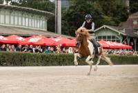 Screenshot 20250716 171907 Chrome